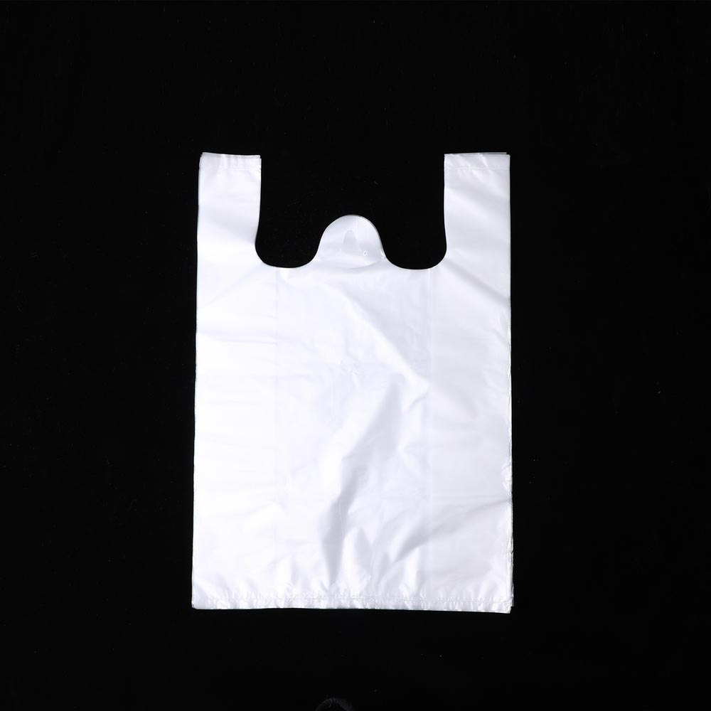 food packing bag 1.JPG