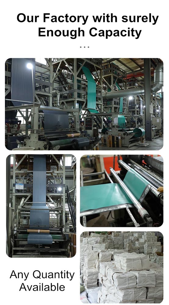 n10 2 Capacity of mailer bag.JPG